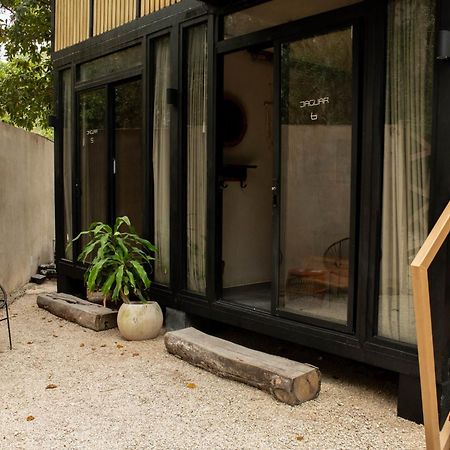 Bufo Alvarius Tulum Exterior photo